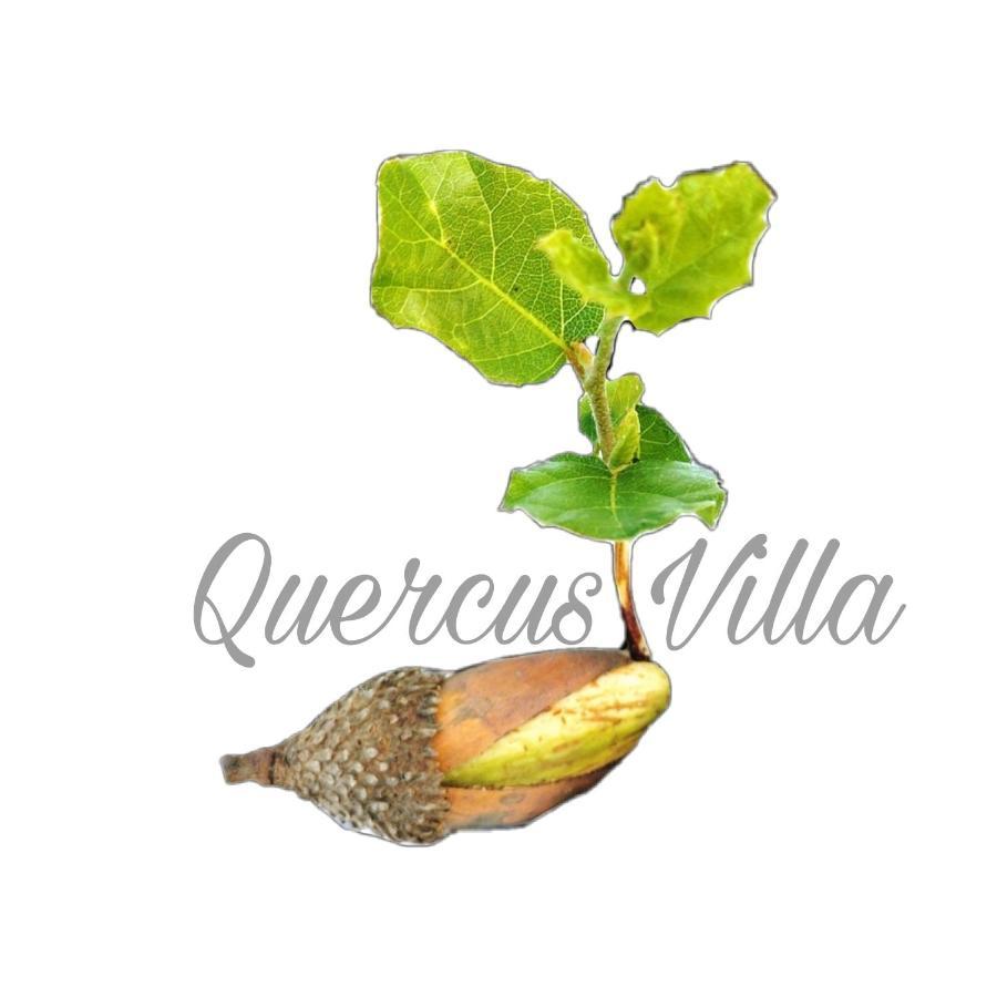 Quercus Villa Sesimbra Buitenkant foto